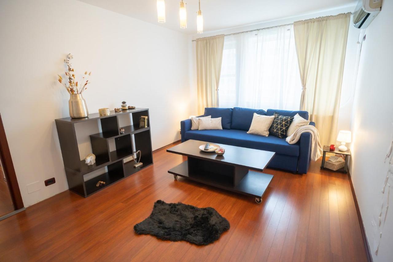 Spacious 2Br Dristor Apartment Bükreş Dış mekan fotoğraf
