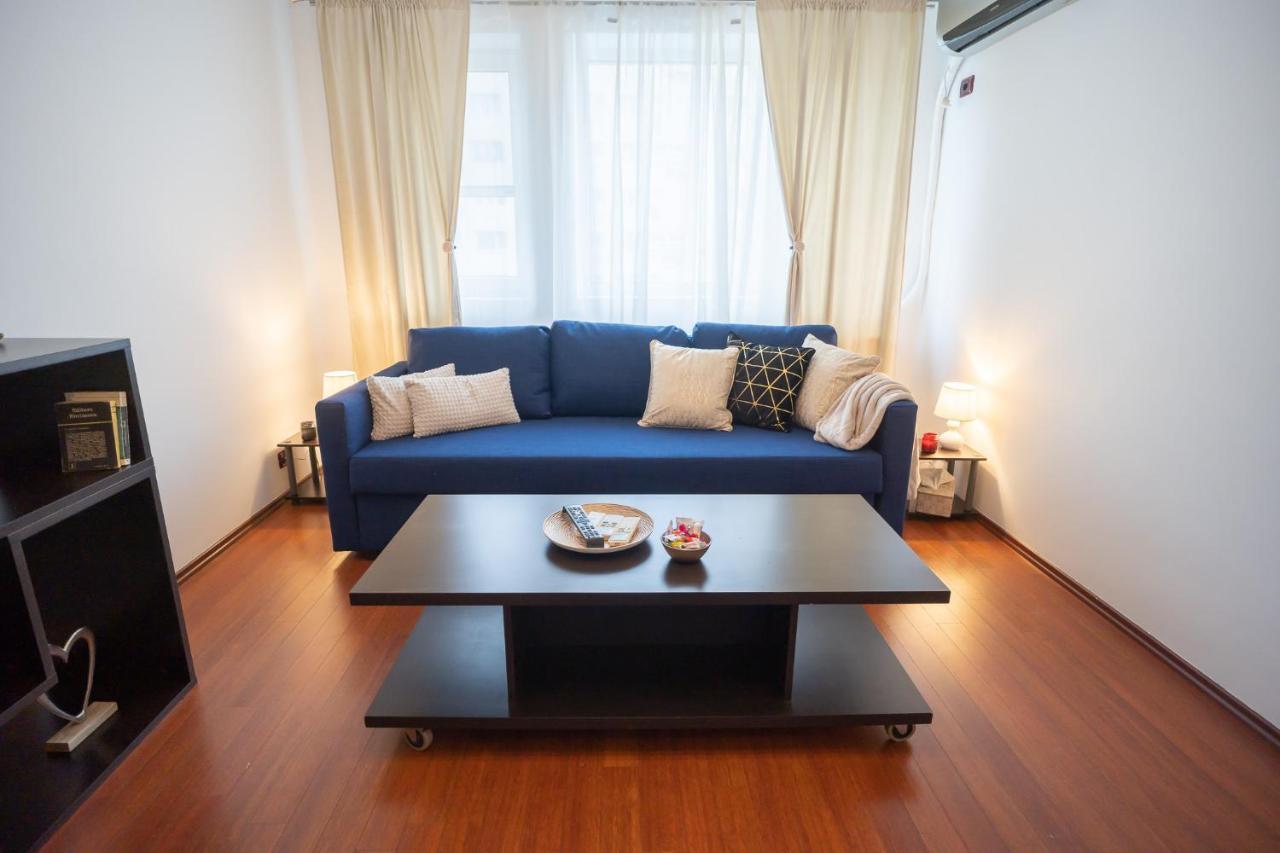 Spacious 2Br Dristor Apartment Bükreş Dış mekan fotoğraf